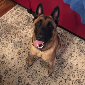 Meet your Posher, Travis